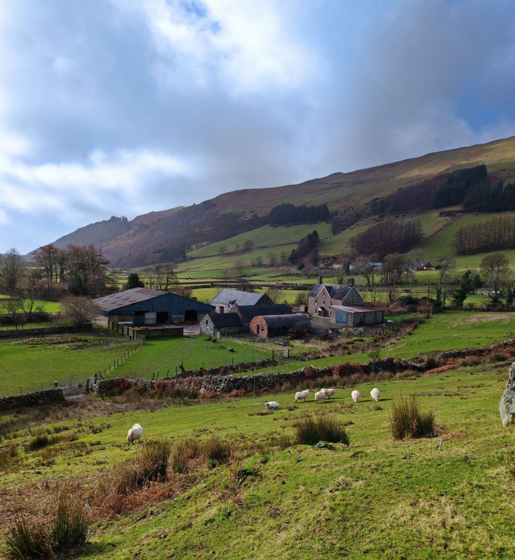 Wiosenne Wędrówki po Walii: Historia i&nbsp;Przyroda