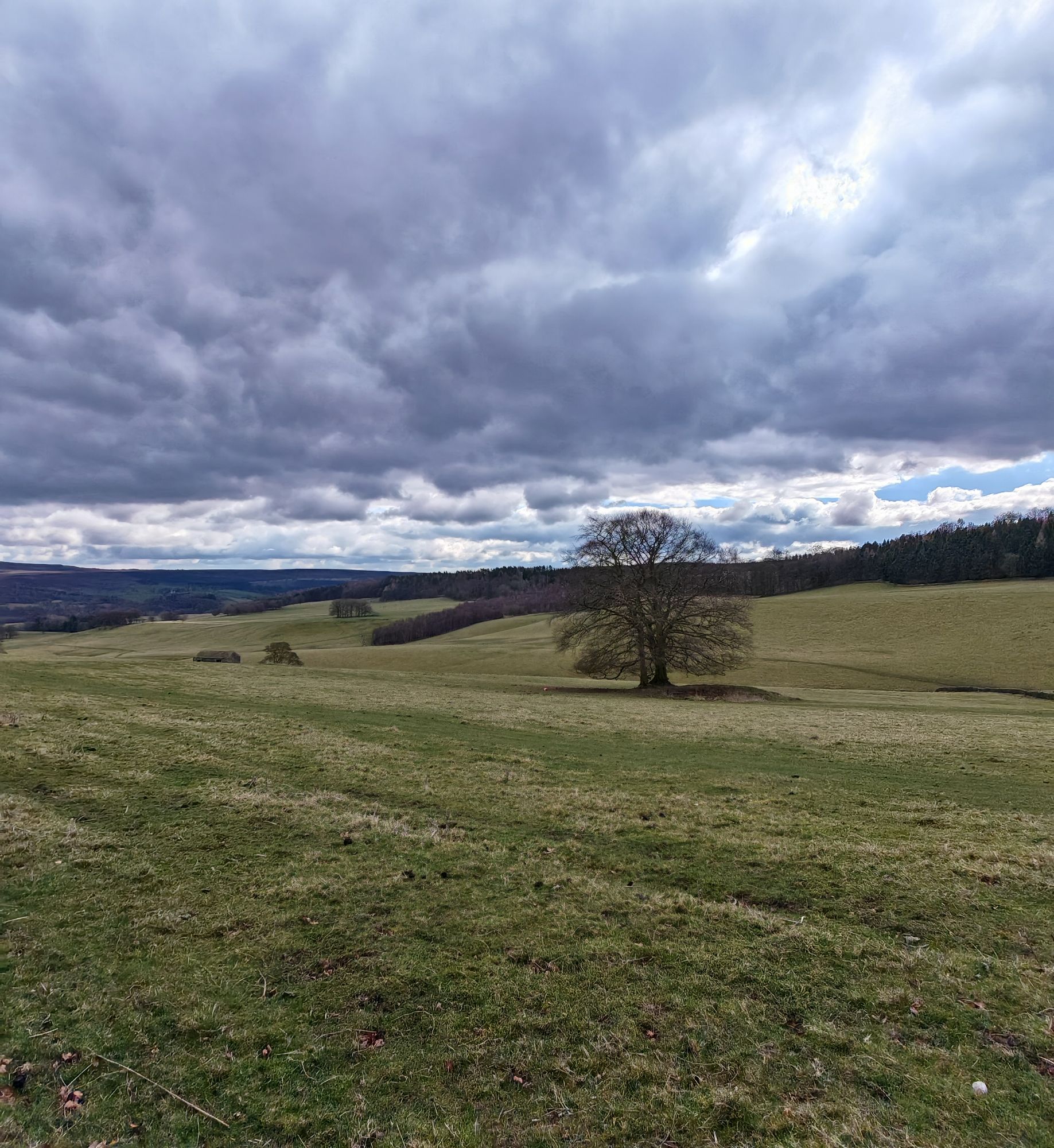 Łagodne doliny i pastwiska Peak District przy Monsal Trail