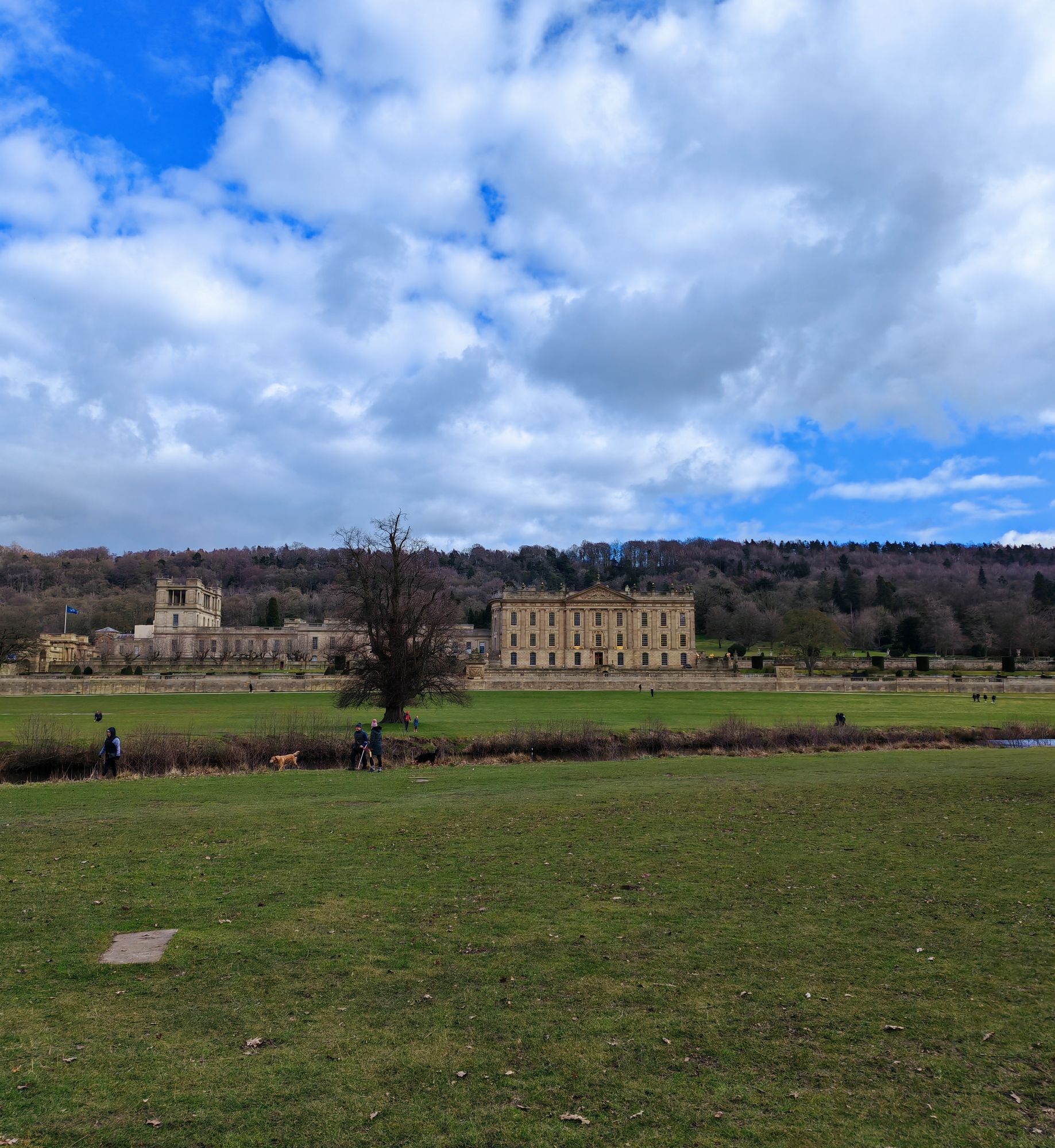 Park w Chatsworth House wczesną wiosną