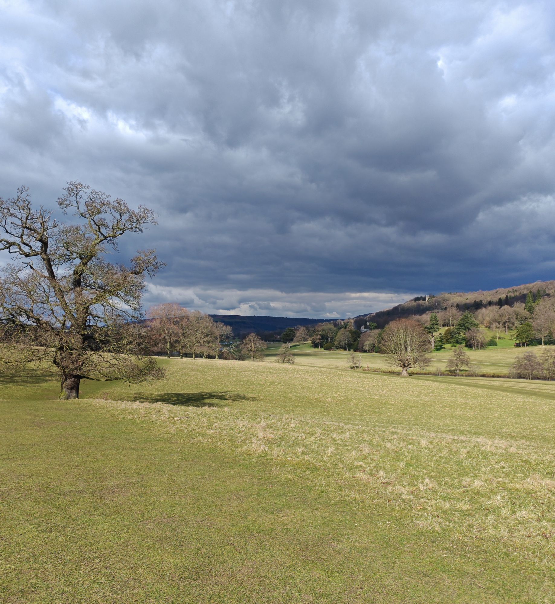 Widok na park w Chatsworth House wczesną wiosną