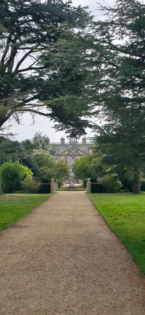 Widok pałacu zza drzew 