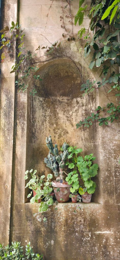 Dekoracje oranżerii 