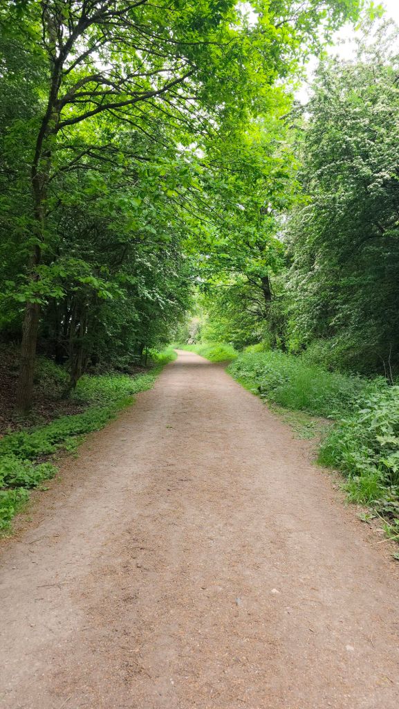 Monsal Trail na wiosnę