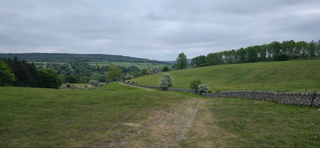 majowe pastwiska w Anglii