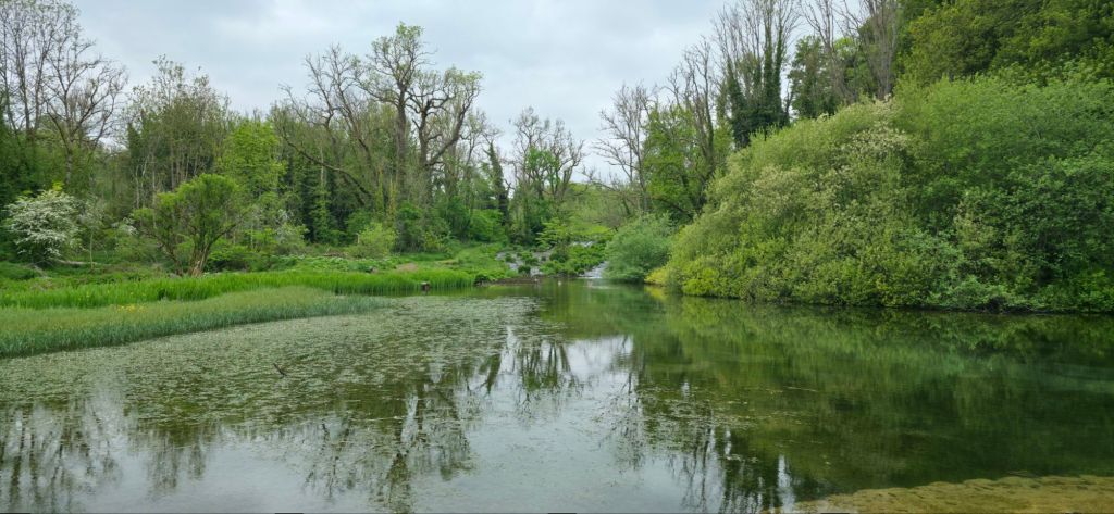 Rzeka Lathkill w maju