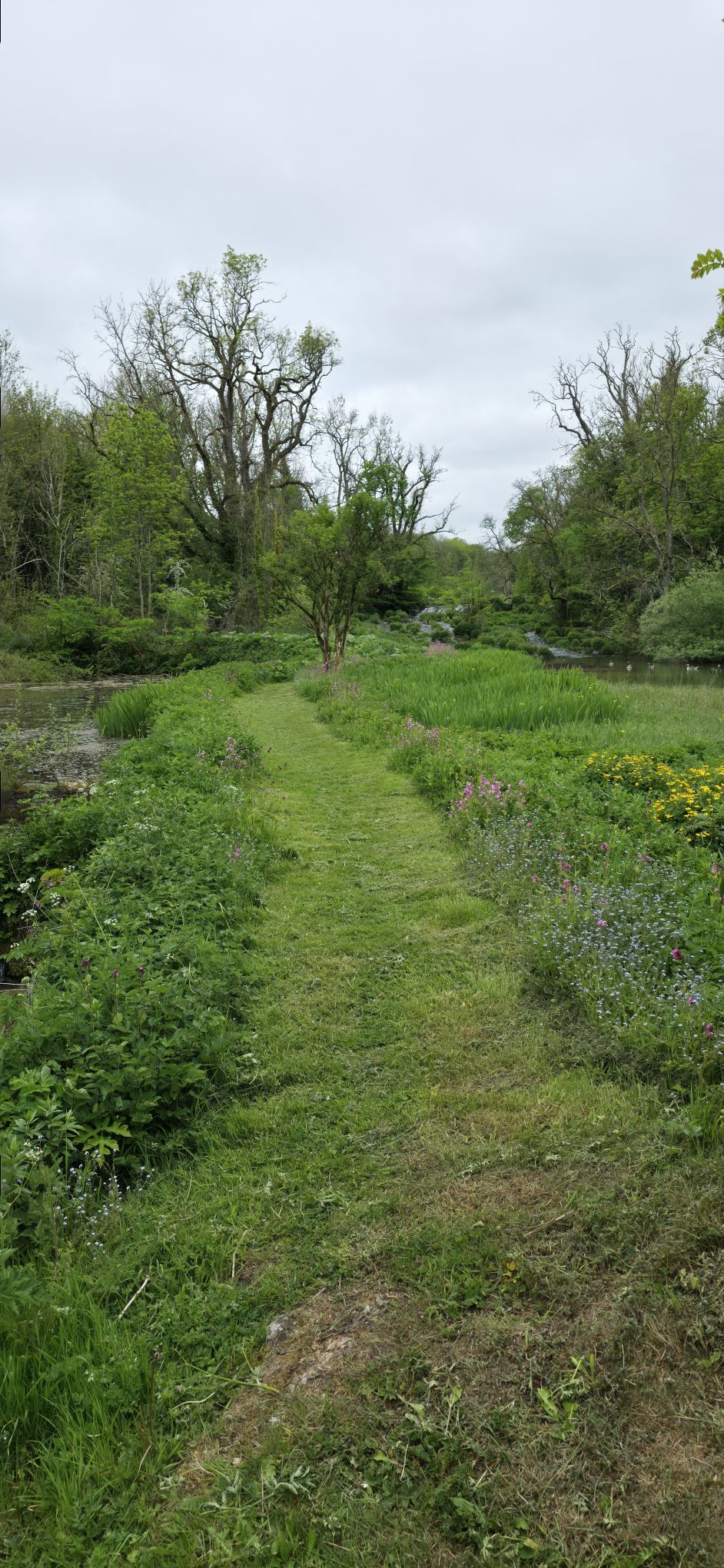 Zielona ścieżka nad rzeką