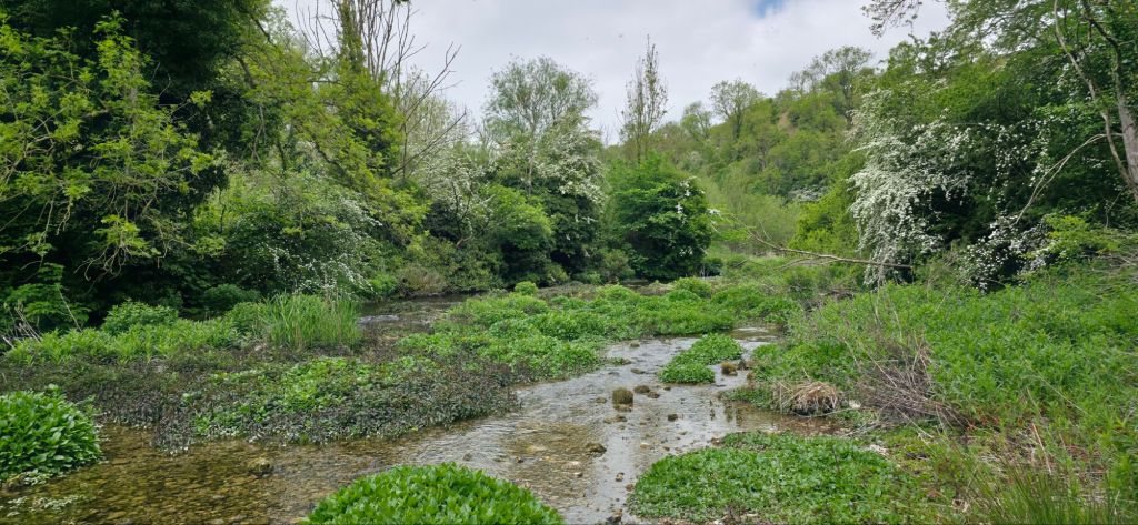 Majowa cisza Lathkill&nbsp;Dale.