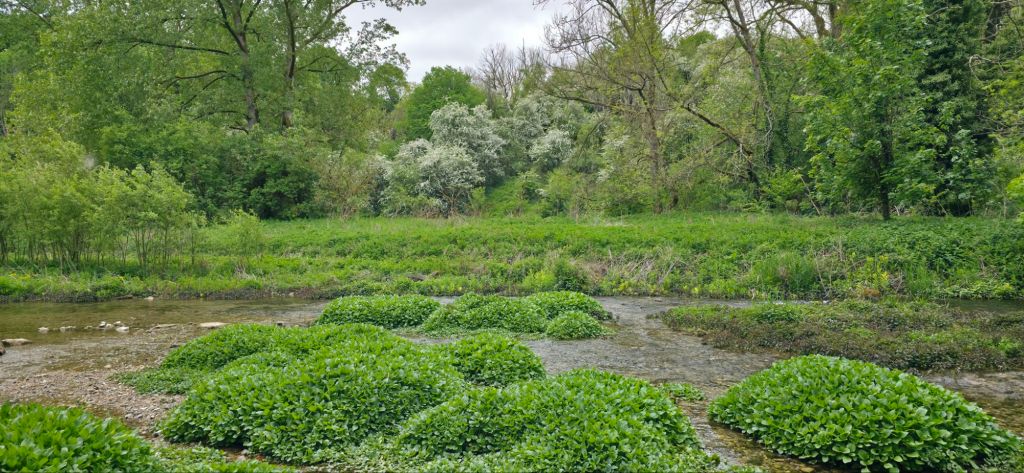 Monsal trail atrakcje