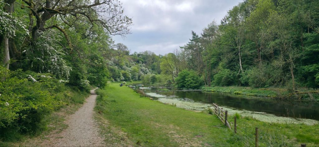 Ścieżka nad rzeką 