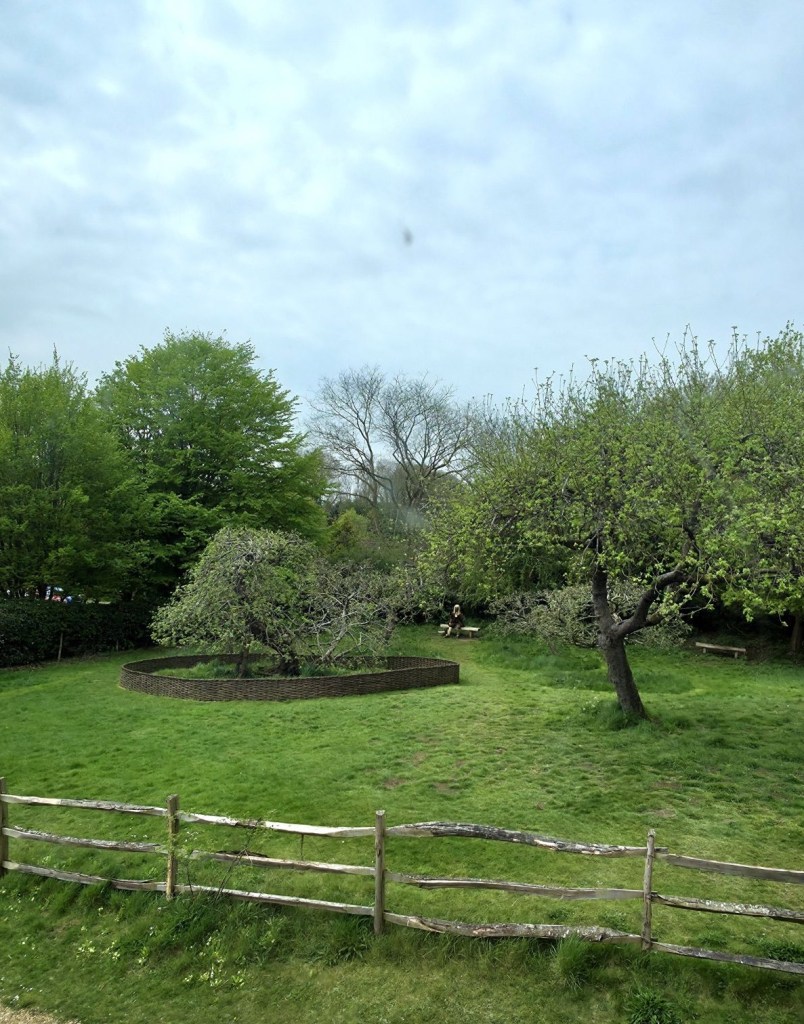 Drzewo Izaaka Newtona na angielskiej wsi.