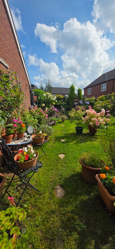 Widok na ogród w letni słoneczny dzień