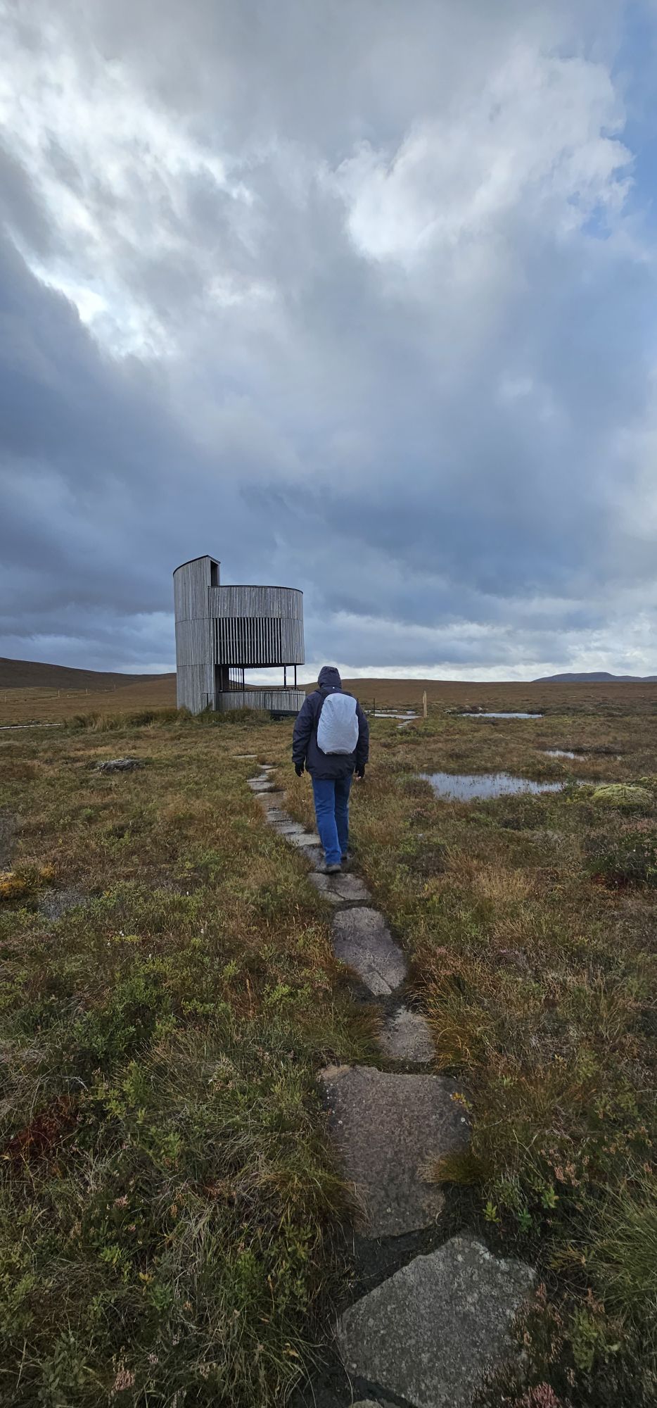 Wycieczka na torfowiska w wietrzny dzień