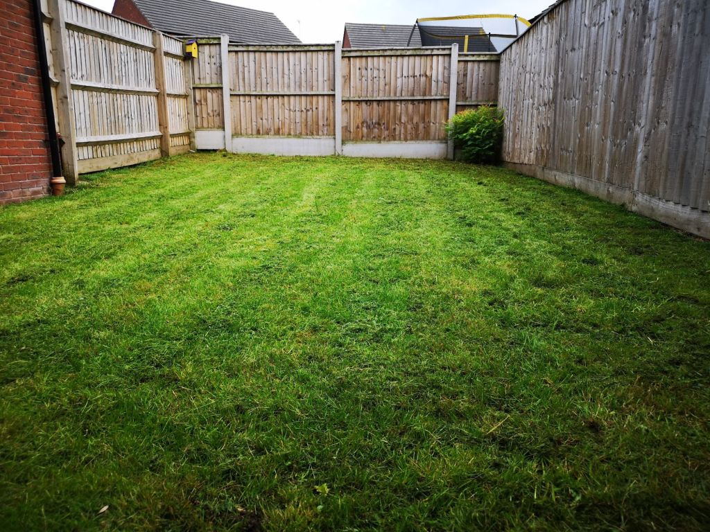 Ogródek z zieloną trawą