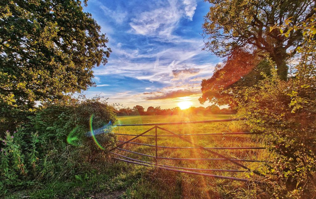 Zachód słońca i brama na pole 