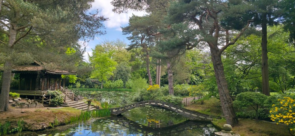 Ogród japoński w Tatton Park