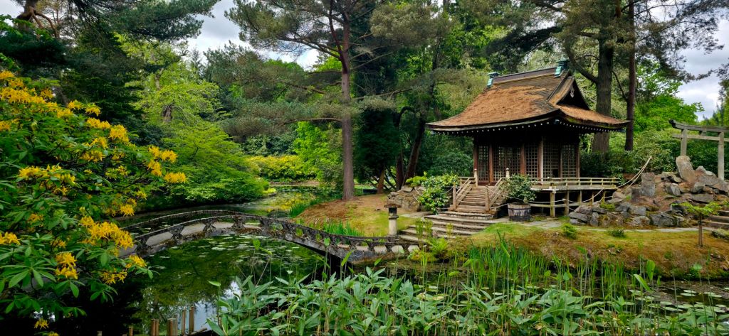 Pagoda japońskiego ogrodu w Cheshire