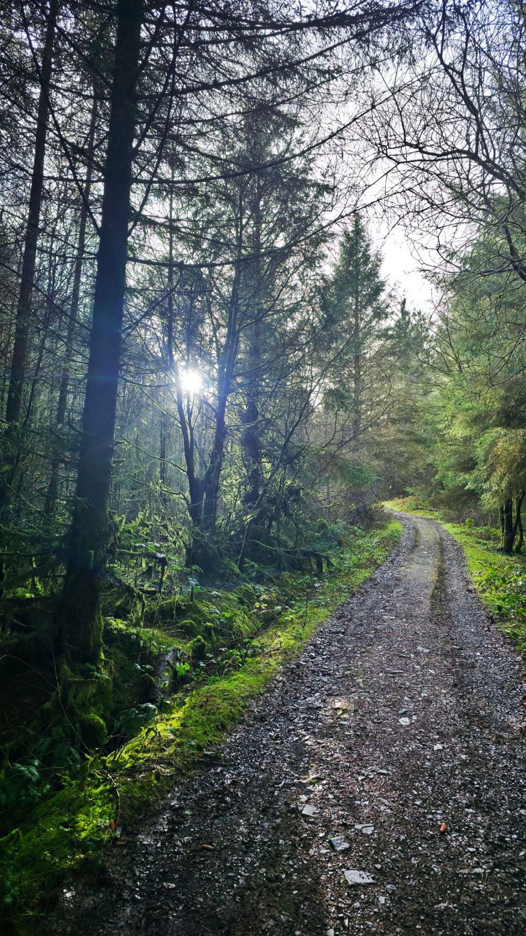 Niebieskim szlakiem wokół Craig Garth-bwlch – zimowy spacer nad Lake Vyrnwy