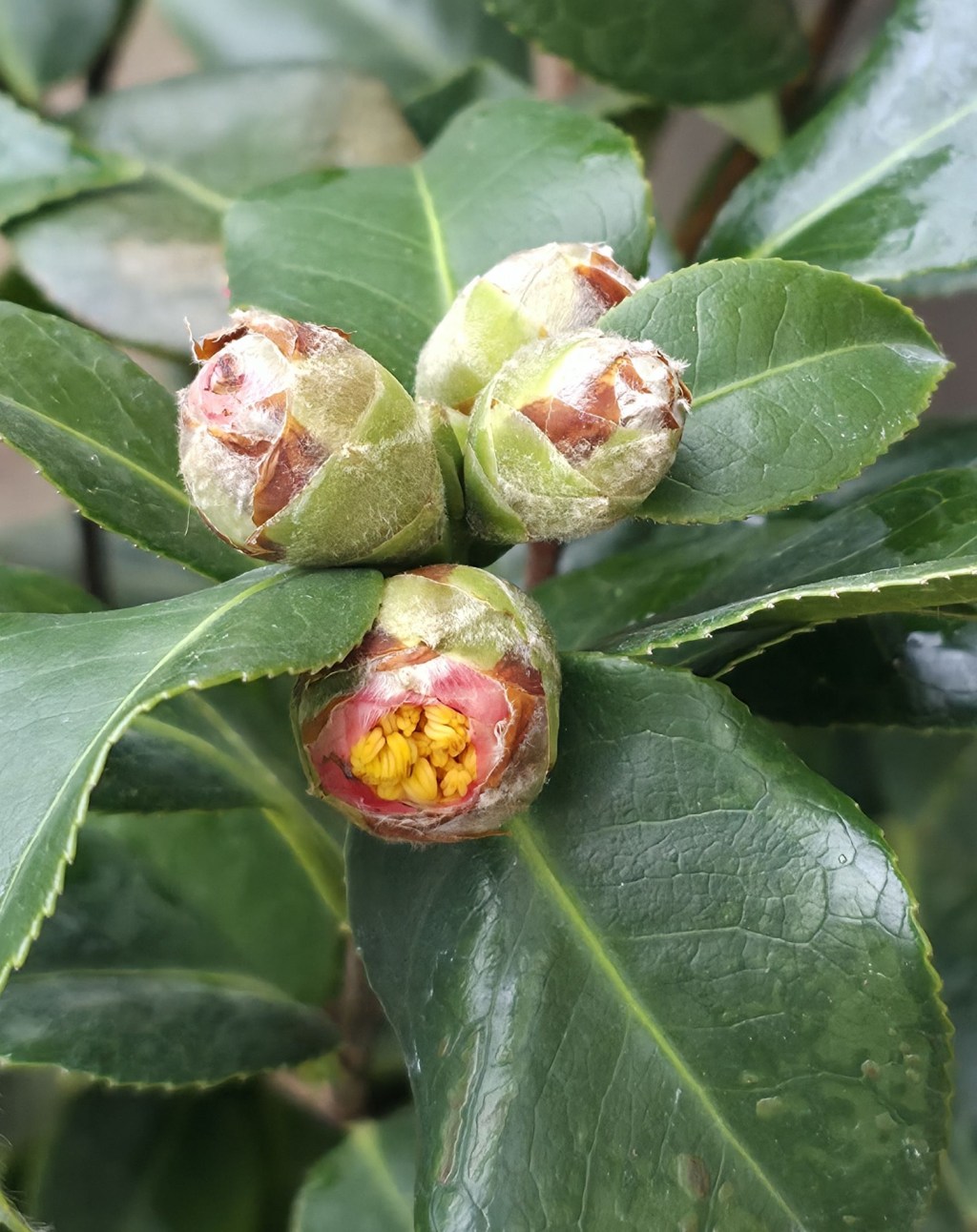 O patrzeniu zamiast&nbsp;robienia