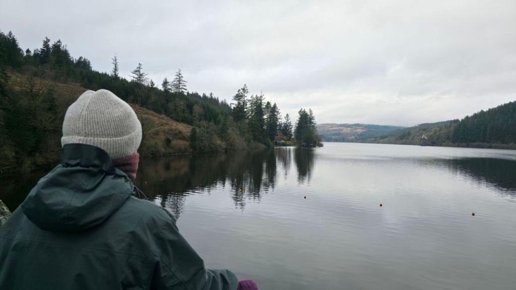 Widok na Lake Vyrnwy z osobą wpatrzoną w dal, brzeg otoczony drzewami w pochmurny dzień.