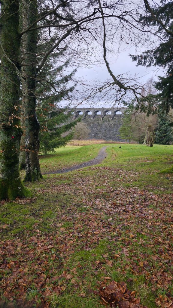 Widok na tamę nad Lake Vyrnwy w otoczeniu drzew i opadłych liści, z aleją prowadzącą w stronę mostu.