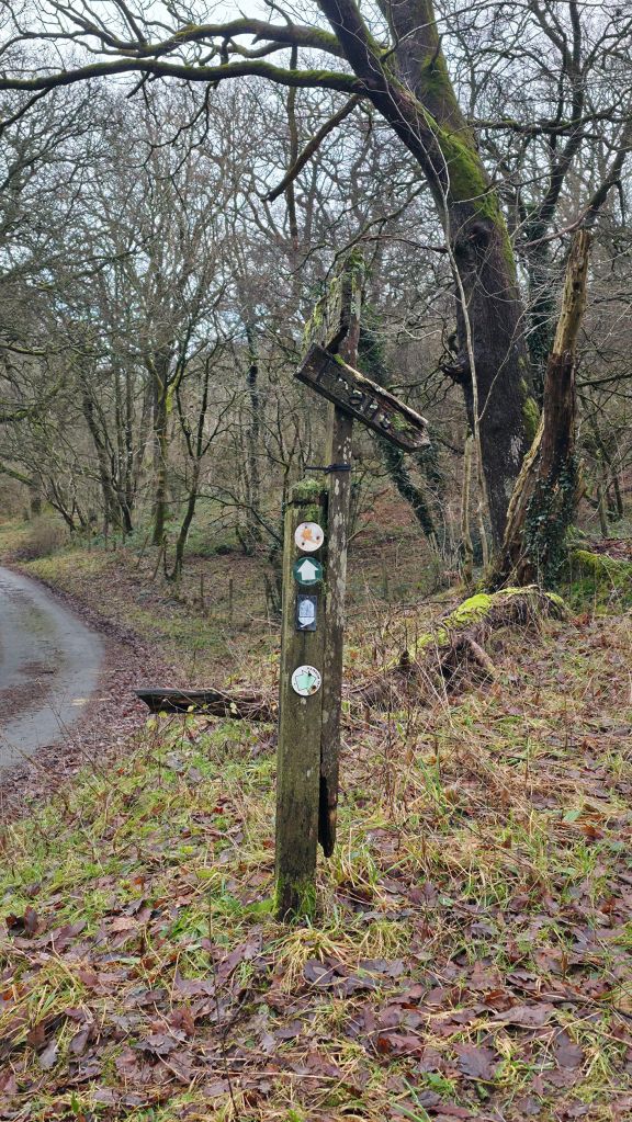 Zniszczony znak drogowy wskazujący kierunek, umieszczony na drewnianym słupie z oznaczeniami szlaków turystycznych, otoczony nagimi drzewami i suchymi liśćmi.