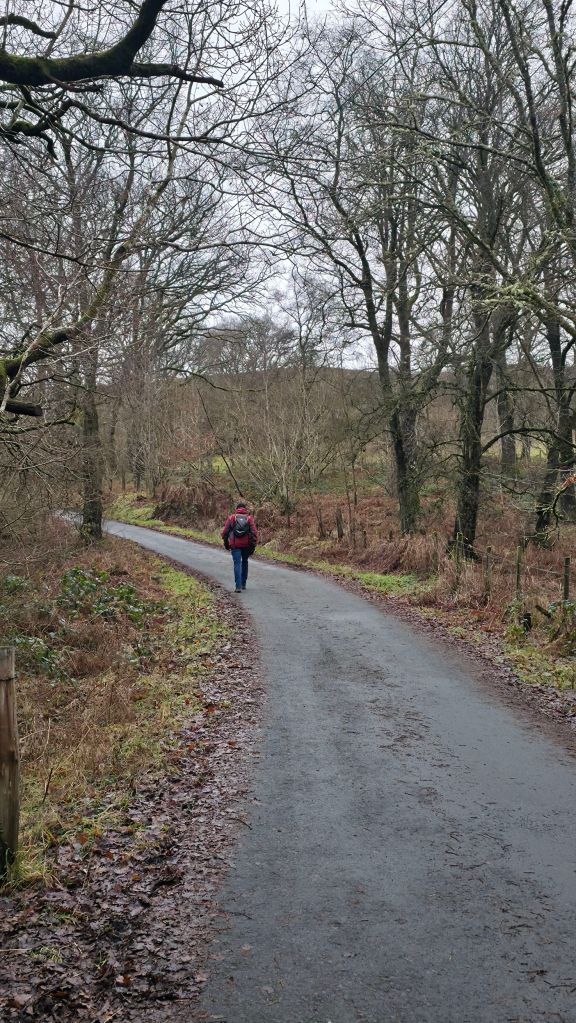 Osoba idąca wzdłuż krętej drogi otoczonej drzewami i krzewami w lesie.