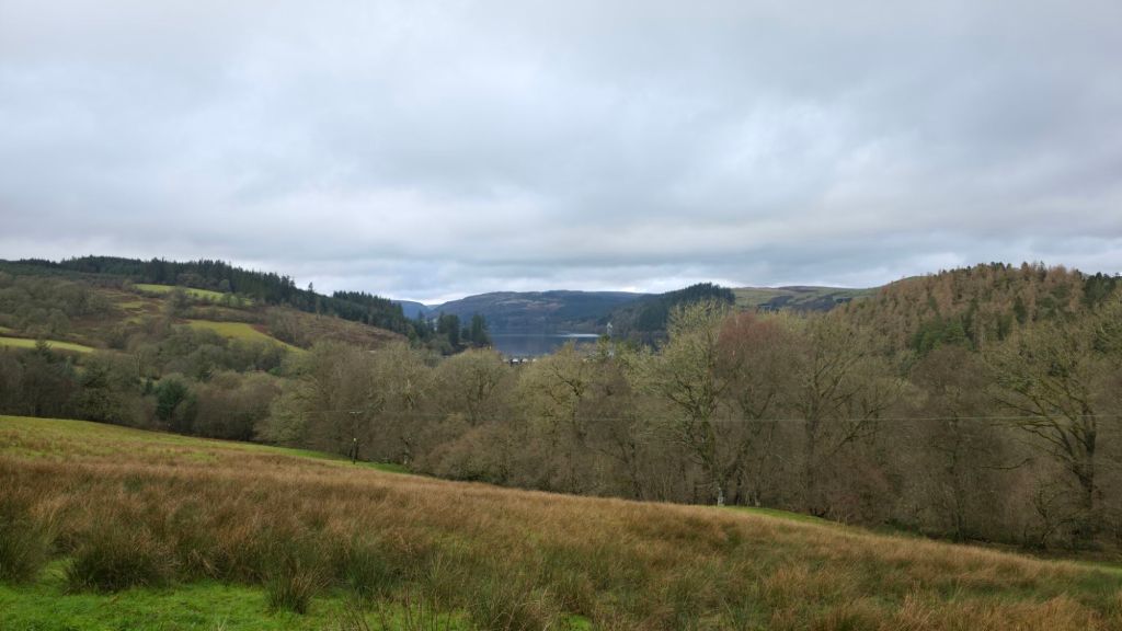 Widok na malownicze doliny z zielonymi wzgórzami i drzewami, z jeziorem Vyrnwy w tle pod pochmurnym niebem.