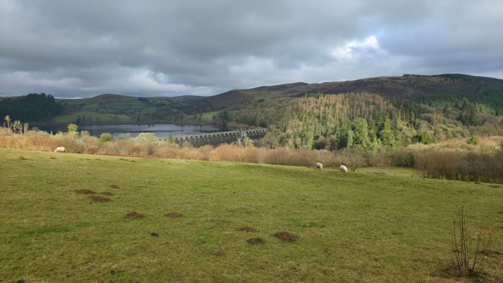 Widok na zieloną łąkę z pasącymi się owcami, w tle jezioro otoczone wzgórzami i lasami pod pochmurnym niebem.
