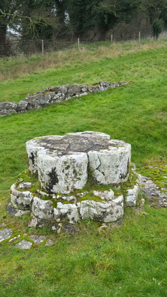 Pozostałość dawnej kolumnady klasztornej. 