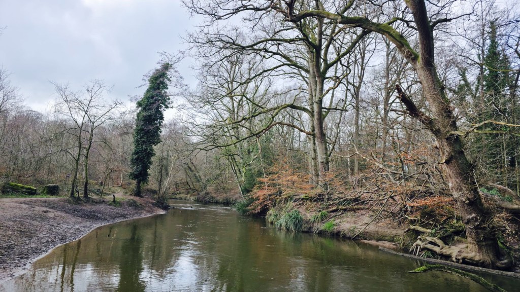 Szerokie zakole rzeki Bollin w Cheshire. 