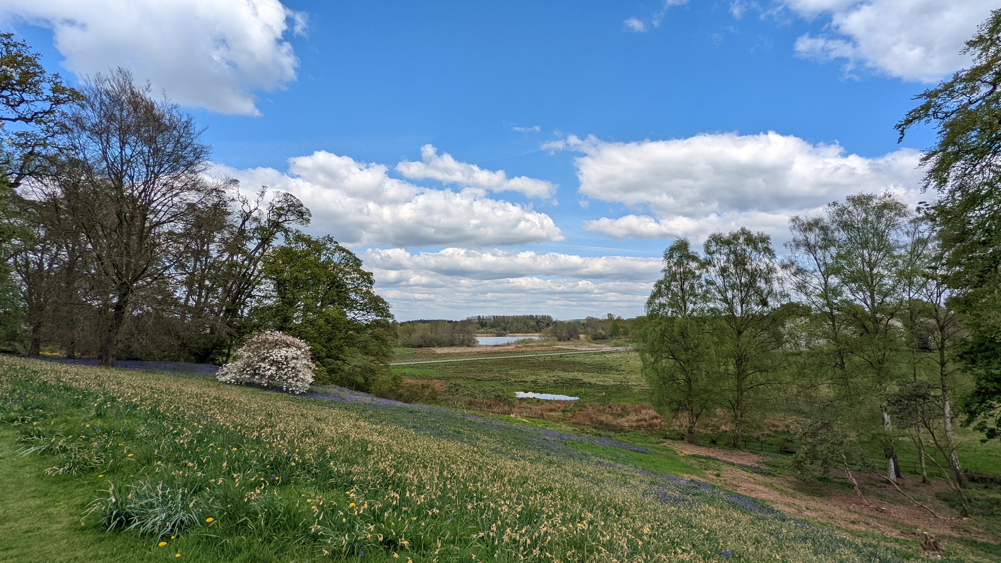 Wiosenny widok w Anglii 